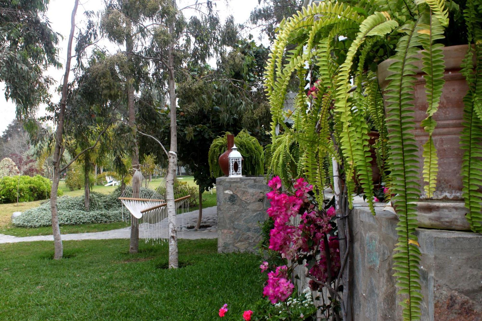 Hotel Los Palomos Lunahuaná Εξωτερικό φωτογραφία