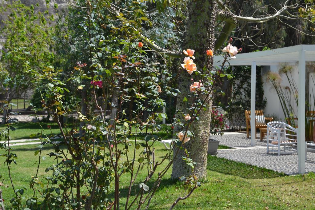 Hotel Los Palomos Lunahuaná Εξωτερικό φωτογραφία
